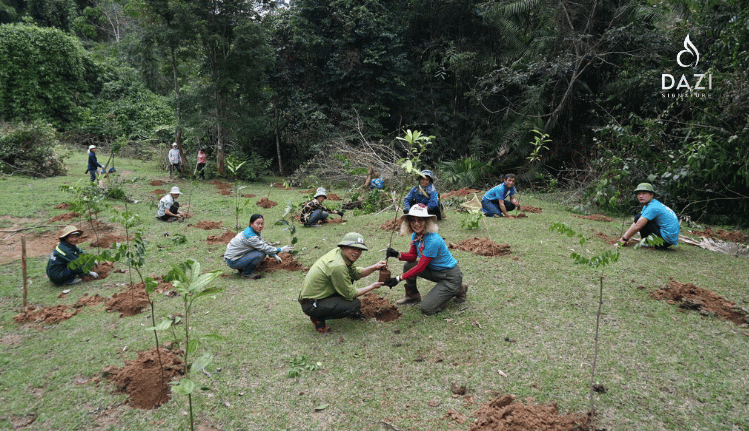 Dazisignature - khách sạn hcm Dazisignature - khách sạn hcm